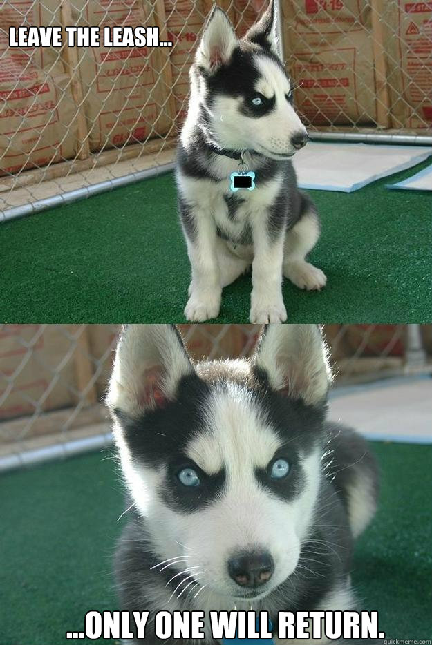leave the leash... ...only one will return.  Insanity puppy