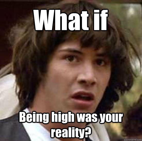 What if  Being high was your reality? - What if  Being high was your reality?  conspiracy keanu