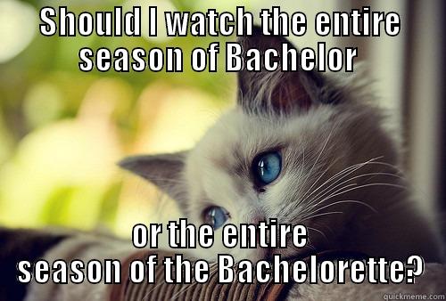 SHOULD I WATCH THE ENTIRE SEASON OF BACHELOR  OR THE ENTIRE SEASON OF THE BACHELORETTE? First World Problems Cat