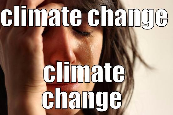 CLIMATE CHANGE  CLIMATE CHANGE  First World Problems
