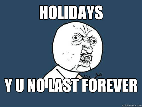 Holidays y u no last forever  Y U No