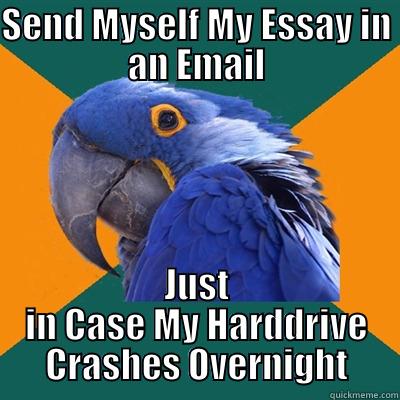 SEND MYSELF MY ESSAY IN AN EMAIL JUST IN CASE MY HARDDRIVE CRASHES OVERNIGHT Paranoid Parrot