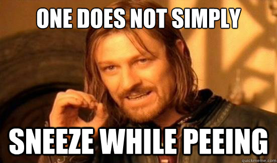 One Does Not Simply Sneeze while peeing - One Does Not Simply Sneeze while peeing  Boromir