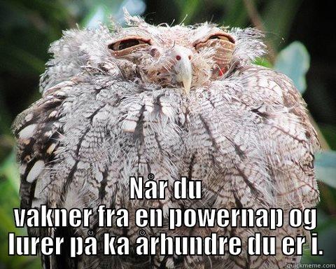  NÅR DU VAKNER FRA EN POWERNAP OG LURER PÅ KA ÅRHUNDRE DU ER I. Misc