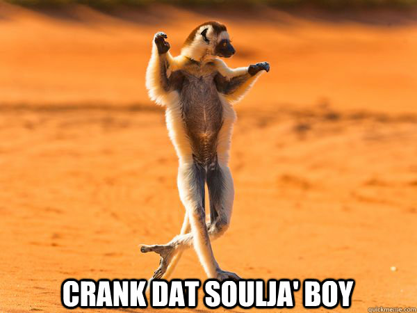 CRANK DAT SOULJA' BOY - CRANK DAT SOULJA' BOY  Dancing Ferret