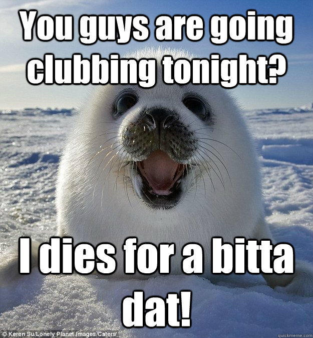 You guys are going clubbing tonight? I dies for a bitta dat!  Easily Pleased Seal