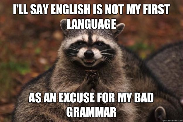 I'll say English is not my first language As an excuse for my bad grammar  Evil Plotting Raccoon