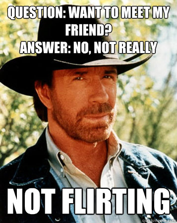 Question: Want to meet my friend?
Answer: No, not really not flirting  Flirt Test Chuck Norris