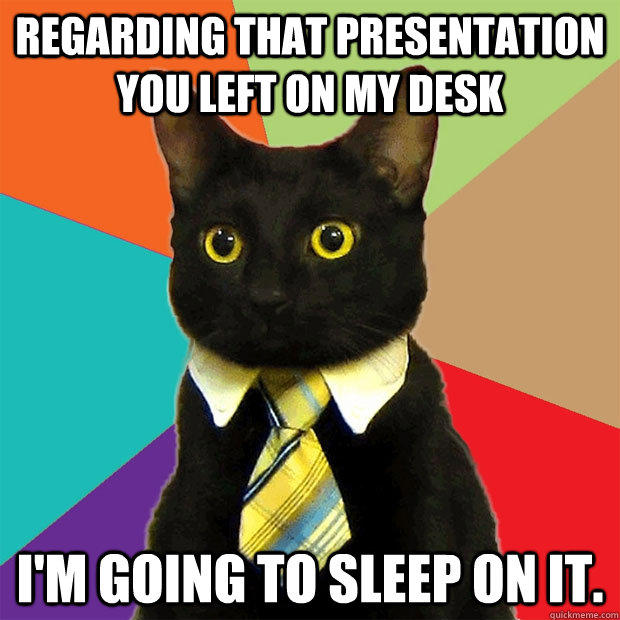 Regarding that presentation you left on my desk I'm going to sleep on it. - Regarding that presentation you left on my desk I'm going to sleep on it.  Business Cat