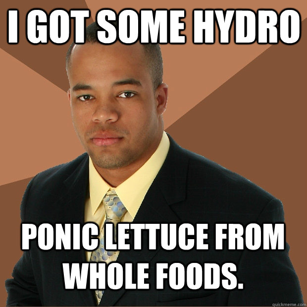 I GOT SOME HYDRO PONIC LETTUCE FROM WHOLE FOODS.  Successful Black Man