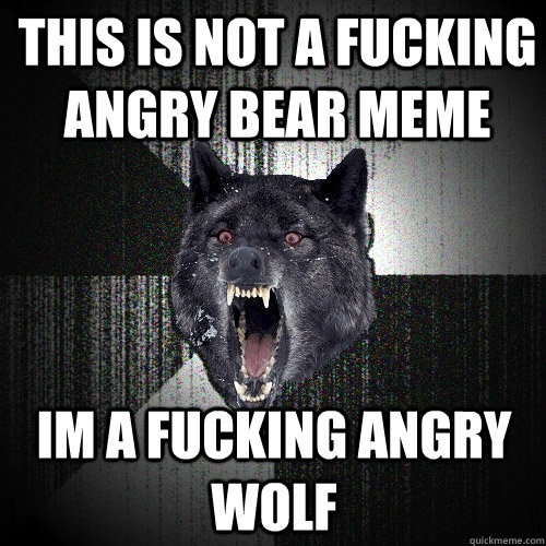 This is not a fucking angry bear meme Im a fucking angry wolf  Insanity Wolf