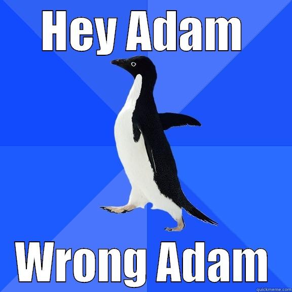 HEY ADAM WRONG ADAM Socially Awkward Penguin