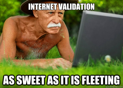 Internet validation As sweet as it is fleeting  Wise Old Internet Man