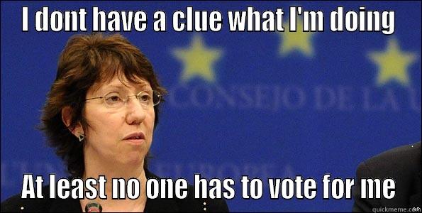 catherine ashton - I DONT HAVE A CLUE WHAT I'M DOING AT LEAST NO ONE HAS TO VOTE FOR ME Misc