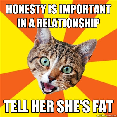 Honesty is important in a relationship Tell her she's fat  Bad Advice Cat