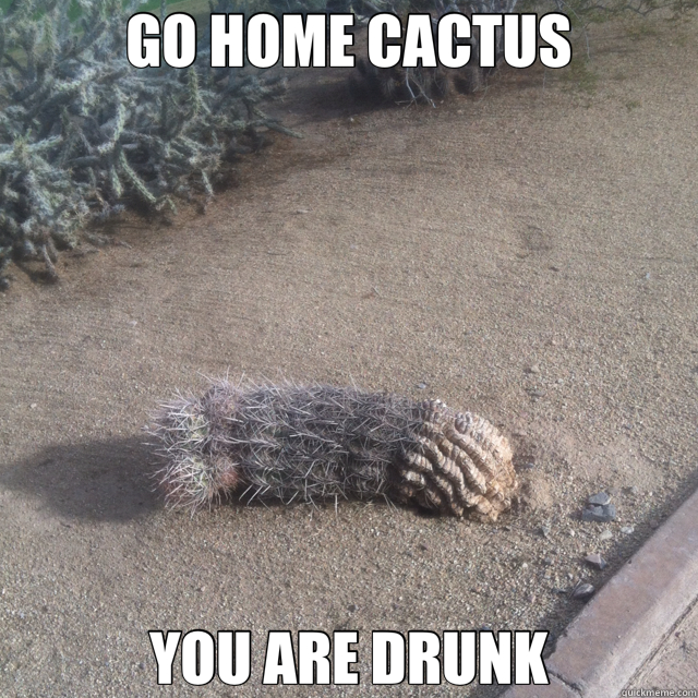 GO HOME CACTUS YOU ARE DRUNK  Drunk Cactus