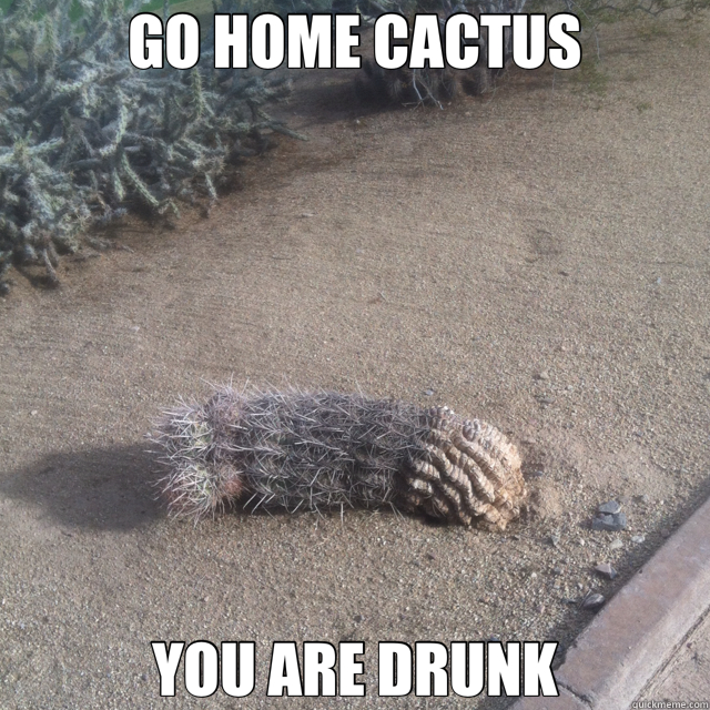 GO HOME CACTUS YOU ARE DRUNK - GO HOME CACTUS YOU ARE DRUNK  Drunk Cactus