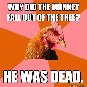 Why did the monkey fall out of the tree? He was dead.  Anti-Joke Chicken