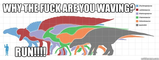 why the fuck are you waving?       run!!!! - why the fuck are you waving?       run!!!!  waving to dinosaurs