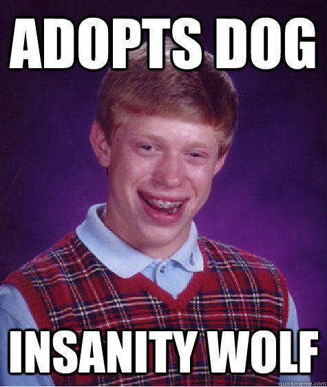 Adopts dog Insanity Wolf  Bad Luck Brian