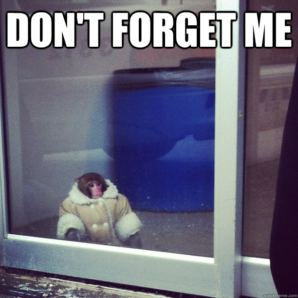 DON'T FORGET ME  - DON'T FORGET ME   Ikea Monkey