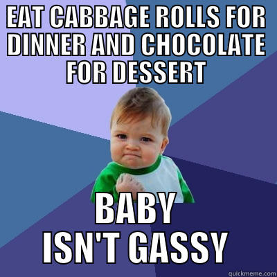 EAT CABBAGE ROLLS FOR DINNER AND CHOCOLATE FOR DESSERT BABY ISN'T GASSY Success Kid