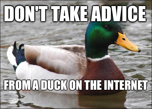 Don't take advice From a duck on the internet   Actual Advice Mallard