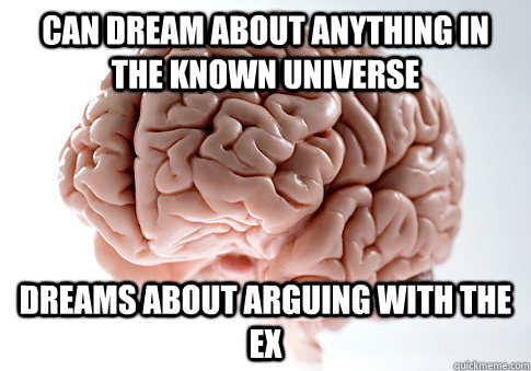 can dream about anything in the known universe dreams about arguing with the ex  Scumbag Brain