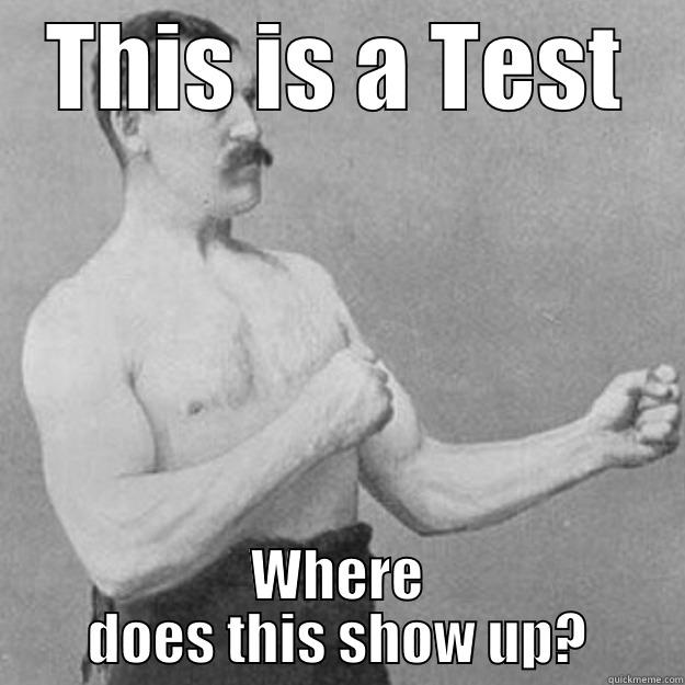 THIS IS A TEST WHERE DOES THIS SHOW UP? overly manly man