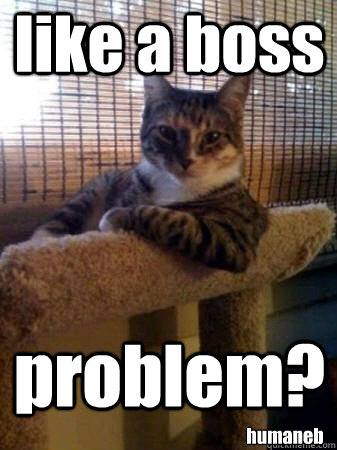 like a boss problem? humaneb  The Most Interesting Cat in the World