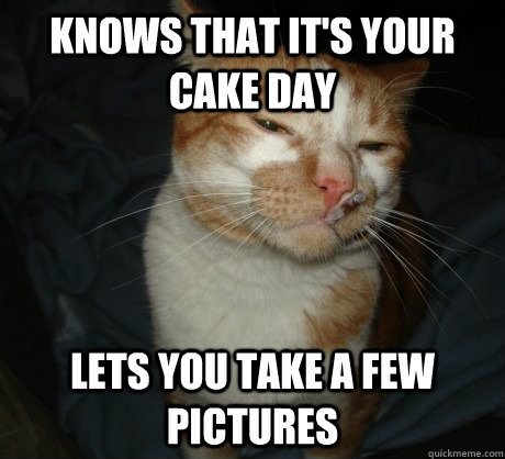 knows that it's your cake day lets you take a few pictures - knows that it's your cake day lets you take a few pictures  Misc