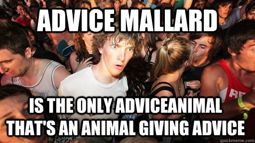 Advice Mallard is the only adviceanimal that's an animal giving advice  Sudden Clarity Clarence