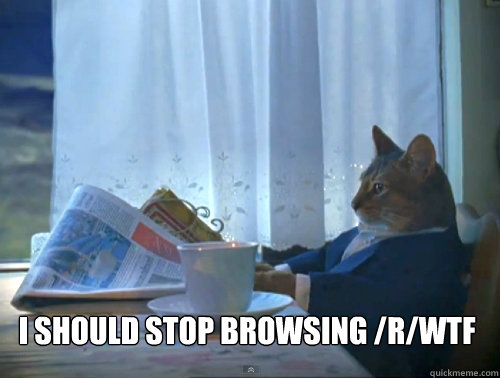  I should stop browsing /r/WTF  The One Percent Cat