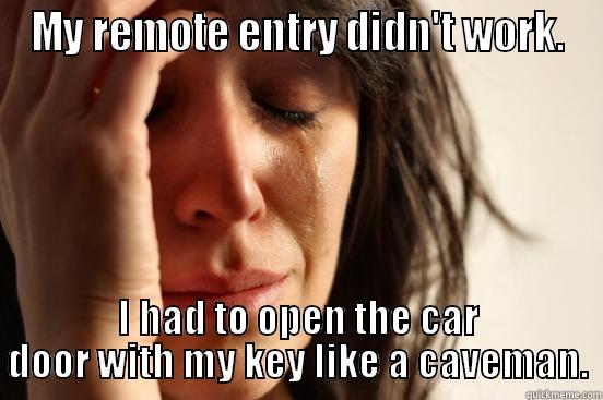 MY REMOTE ENTRY DIDN'T WORK. I HAD TO OPEN THE CAR DOOR WITH MY KEY LIKE A CAVEMAN. First World Problems