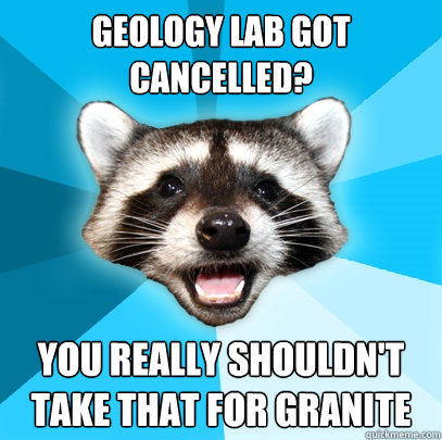 GEOLOGY LAB GOT CANCELLED? YOU REALLY SHOULDN'T TAKE THAT FOR GRANITE  Lame Pun Coon