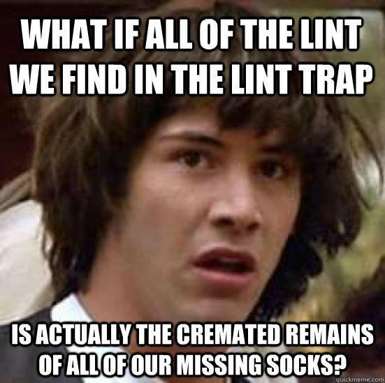 What if all of the lint we find in the lint trap is actually the cremated remains of all of our missing socks?  conspiracy keanu