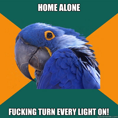 HOME ALONE FUCKING TURN EVERY LIGHT ON!  Paranoid Parrot