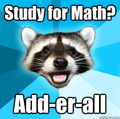 Study for Math? Add-er-all  Lame Pun Coon
