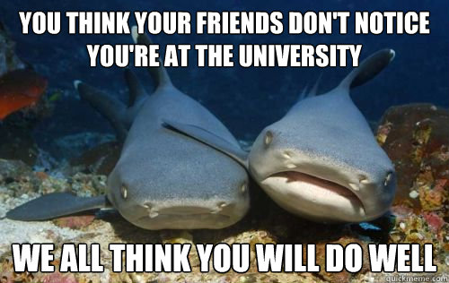 you think your friends don't notice you're at the university we all think you will do well  Compassionate Shark Friend