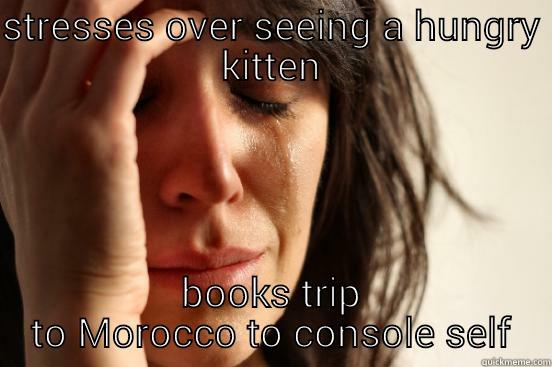 STRESSES OVER SEEING A HUNGRY KITTEN BOOKS TRIP TO MOROCCO TO CONSOLE SELF First World Problems