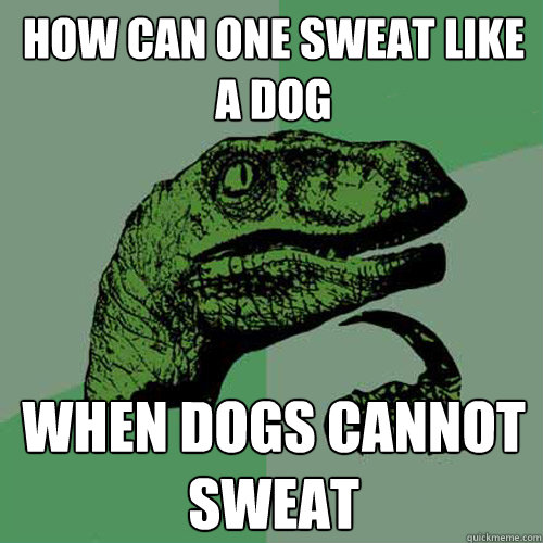 How can one sweat like a dog When dogs cannot sweat  Philosoraptor
