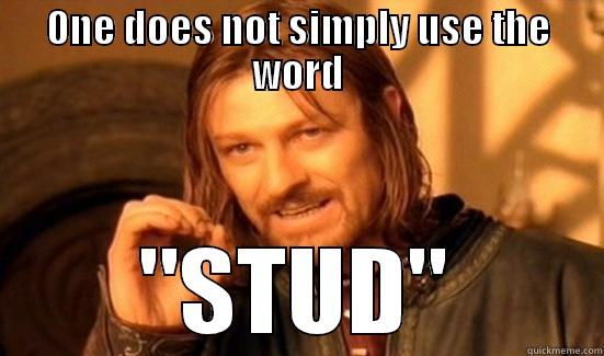 ONE DOES NOT SIMPLY USE THE WORD 