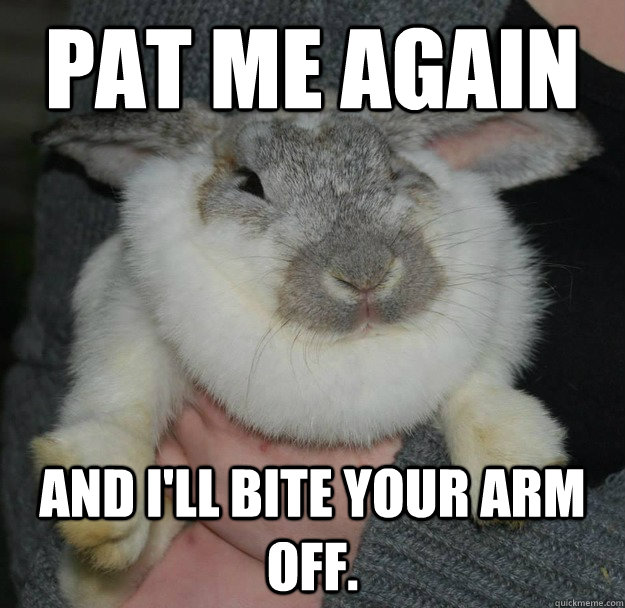 Pat me again and i'll bite your arm off.  Angry Bunny