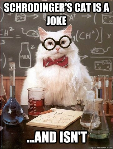 Schrodinger's Cat is a joke ...and isn't - Schrodinger's Cat is a joke ...and isn't  Chemistry Cat