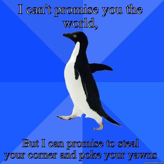 I CAN'T PROMISE YOU THE WORLD, BUT I CAN PROMISE TO STEAL YOUR CORNER AND POKE YOUR YAWNS Socially Awkward Penguin