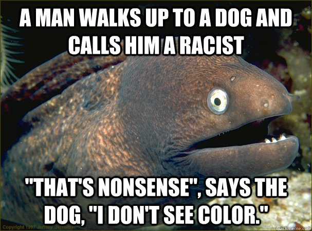 A man walks up to a dog and calls him a racist 