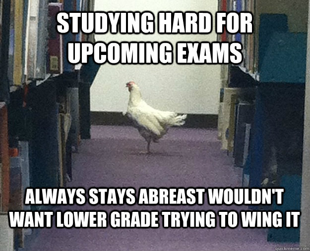 Studying hard for upcoming exams Always stays abreast wouldn't want lower grade trying to wing it  - Studying hard for upcoming exams Always stays abreast wouldn't want lower grade trying to wing it   Grade-A Chicken