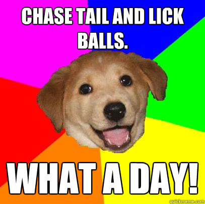 chase tail and lick balls. what a day!  Advice Dog