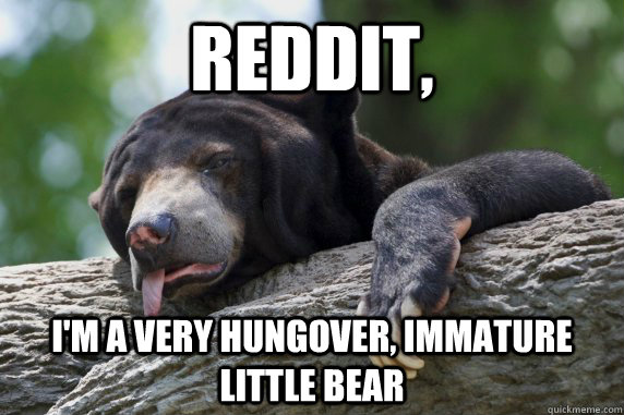 Reddit, I'm a very hungover, immature little bear  