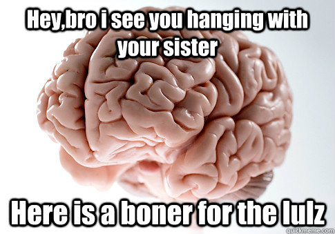 Hey,bro i see you hanging with your sister Here is a boner for the lulz   Scumbag Brain